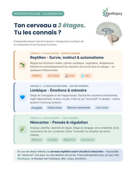 Ton cerveau a 3 étages