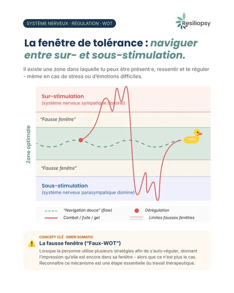 Fenêtre de tolérance